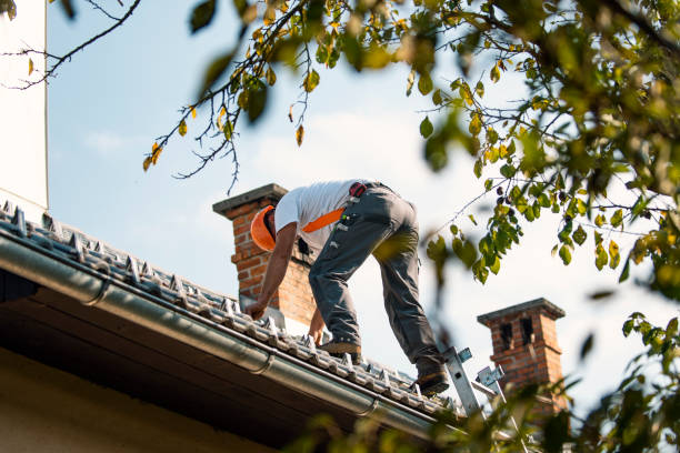 Best Roof Leak Repair  in Skippers Corner, NC