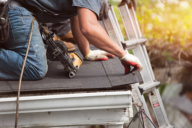 Best Storm Damage Roof Repair  in Skippers Corner, NC